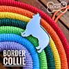 Border Collie Rainbow Bridge Tribute Gift